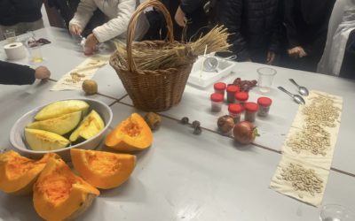Learning, Training and Teaching Activities – Granada 27/10 – 02/11 – 2024